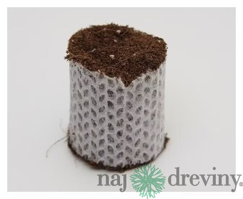 Kokosovo-perlitový sadbovač Ceres Paperpot 30 mm