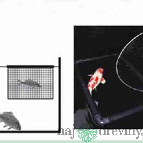 Komorovacia sieť 100 x 60 cm