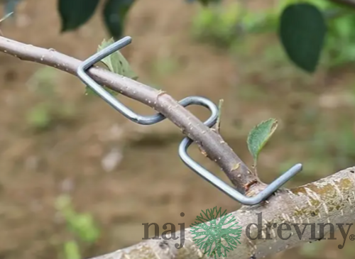 Kovový ohýbač konárov