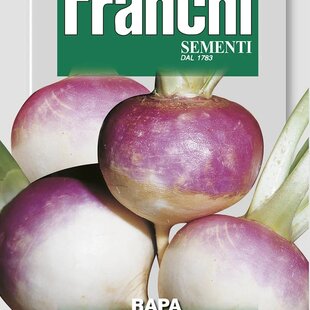 Kvaka - TONDA A COLLETTO VIOLA - semená, 15 gramov