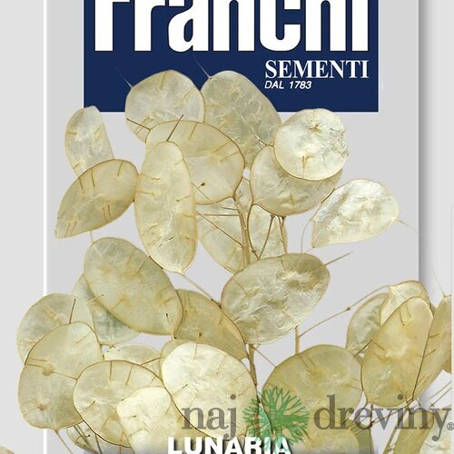 Lunaria - PÁPEŽOVA MINCA