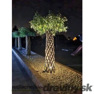 Luxusná americká pletená vŕba, výška 180/+ cm, v črepníku 5l Salix