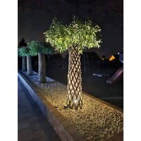 Luxusná americká pletená vŕba, výška 180/+ cm, v črepníku 5l Salix