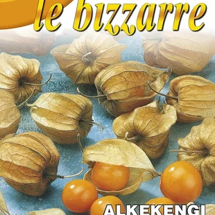 Machovka - Physalis peruviana