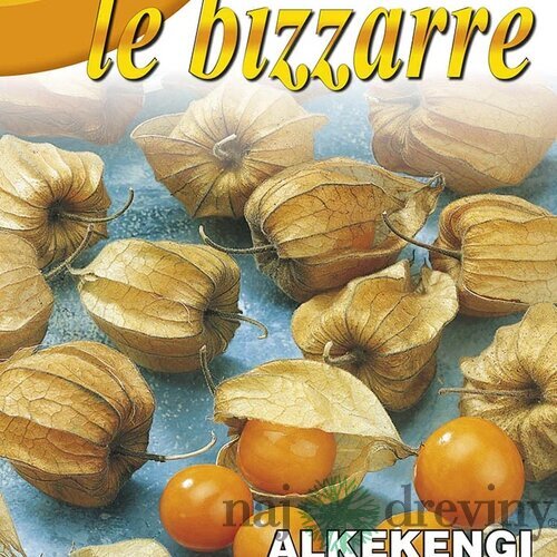 Machovka - Physalis peruviana