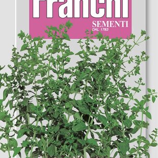 Majoránka - GENTILE