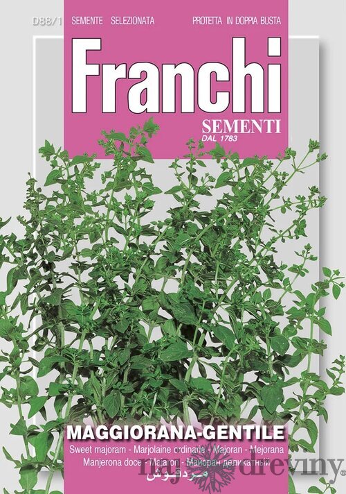 Majoránka - GENTILE