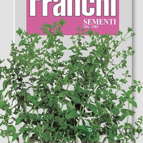 Majoránka - GENTILE