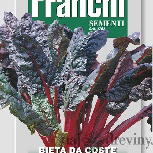 Mangold - RHUBARB CHARD semená 9gr.