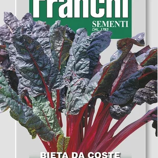 Mangold - RHUBARB CHARD semená 9gr.