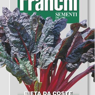 Mangold - RHUBARB CHARD semená 9gr.
