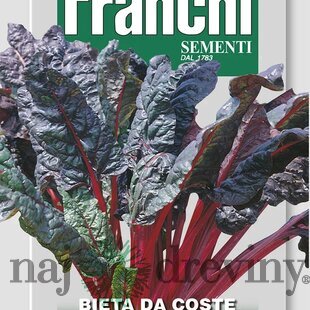 Mangold - RHUBARB CHARD semená 9gr.