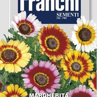 Margaréta - KYLNATÁ – ZMES FARIEB