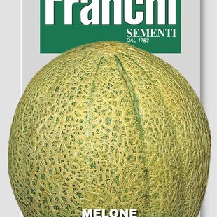 Melón cukrový - ANANAS