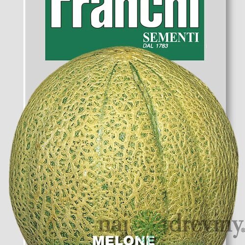 Melón cukrový - ANANAS