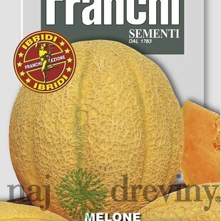 Melón cukrový - SWEET AMERICA F.1 - semená