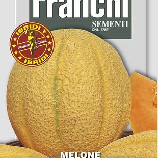 Melón cukrový - SWEET AMERICA F.1 - semená