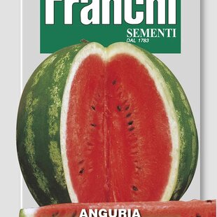 Melón vodný - CRIMSON SWEET