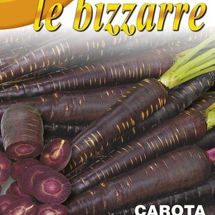 Mrkva - COSMIC PURPLE - fialová