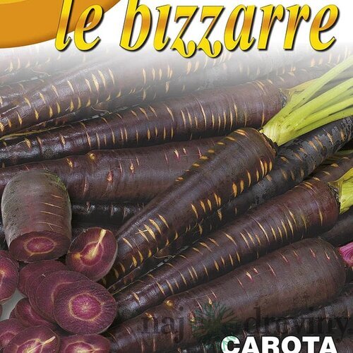 Mrkva - COSMIC PURPLE - fialová