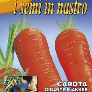 Mrkva - GIGANTE FLAKKEE (výsevný pásik)