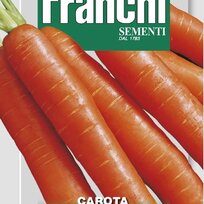 Mrkva - NANTES 2 - semená, 9g