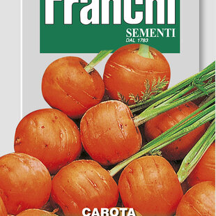 Mrkva - PARIJSE MARKT 4 - semená, 6g