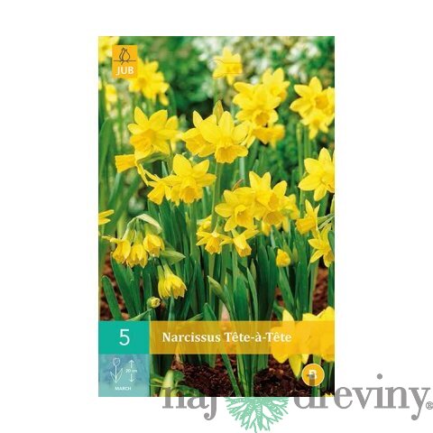 Narcis TÊTE-Á-TÊTE, 8 ks v balení NARCISSUS TÊTE-Á-TÊTE