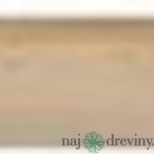 Nasada lopatová 130cm, Economy