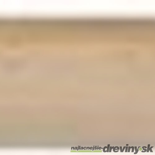 Nasada lopatová 130cm, Economy