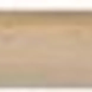 Nasada lopatová 130cm, Economy