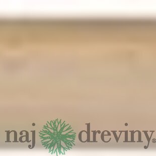 Nasada lopatová 130cm, Economy