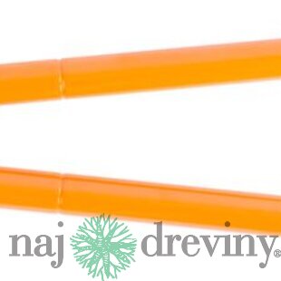 Nožnice Strend Pro KT3835A, záhradné, na konáre, cut.38, teleskopické