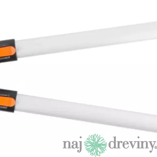 Nožnice Strend Pro KT3859, záhradné, na konáre, s nákovkou, teleskopické