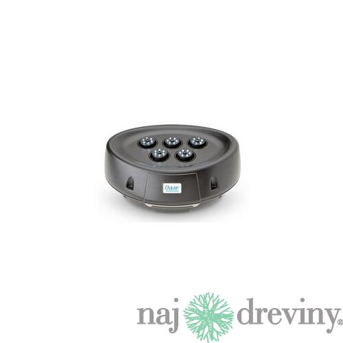 Oase vodná hra Water Starlet