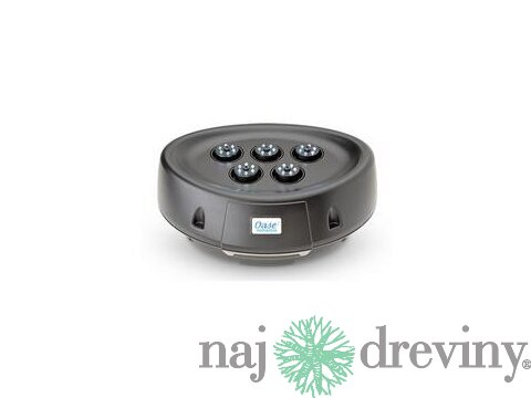 Oase vodná hra Water Starlet