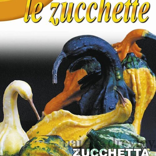 Okrasná tekvica – SMALL INDY MIX