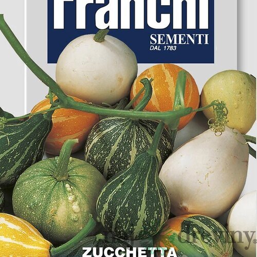 Okrasná tekvica - ZMES OKRASNÝCH TEKVÍC - semená, 4 gramy