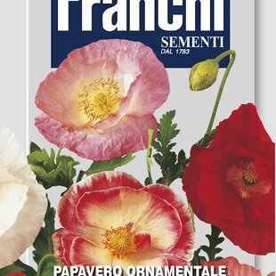 Okrasný divý mak – ZMES FARIEB