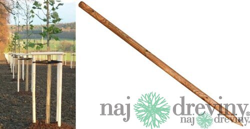 Oporný kôl na strom výška 250 cm, priemer 8 cm, guľatý