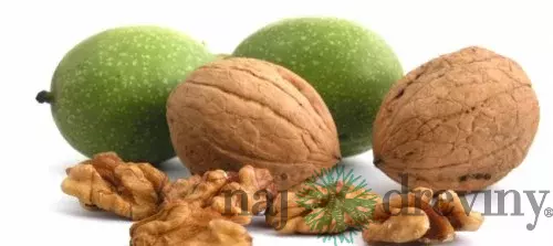 Orech vlašský, výška 160/200 cm, v črepníku Juglans Regia