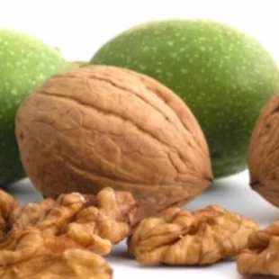 Orech vlašský, výška 160/200 cm, v črepníku Juglans Regia