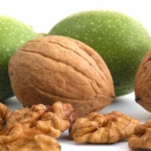 Orech vlašský, výška 160/200 cm, v črepníku Juglans Regia