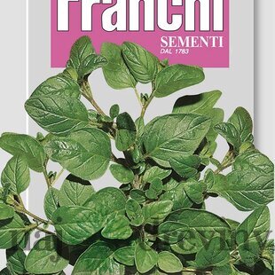 Oregano obyčajné - semená