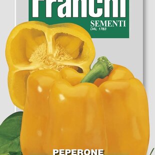 Paprika - GIALLO D‘ASTI - semená, 2 gramy