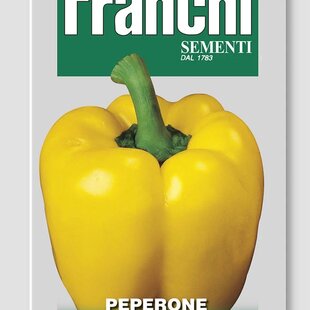 Paprika - GIALLO DI CUNEO - semená