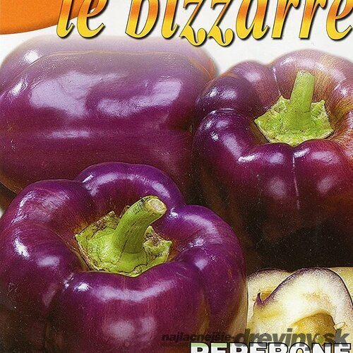 Paprika - ODA - semená