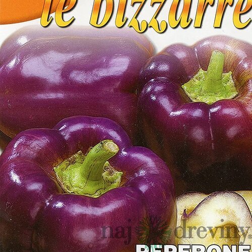 Paprika - ODA - semená