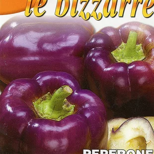 Paprika - ODA - semená