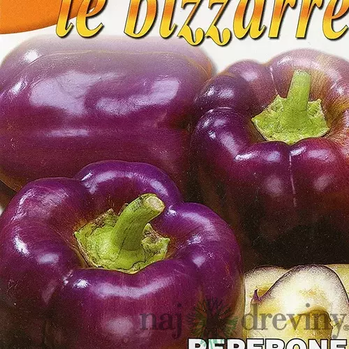 Paprika - ODA - semená